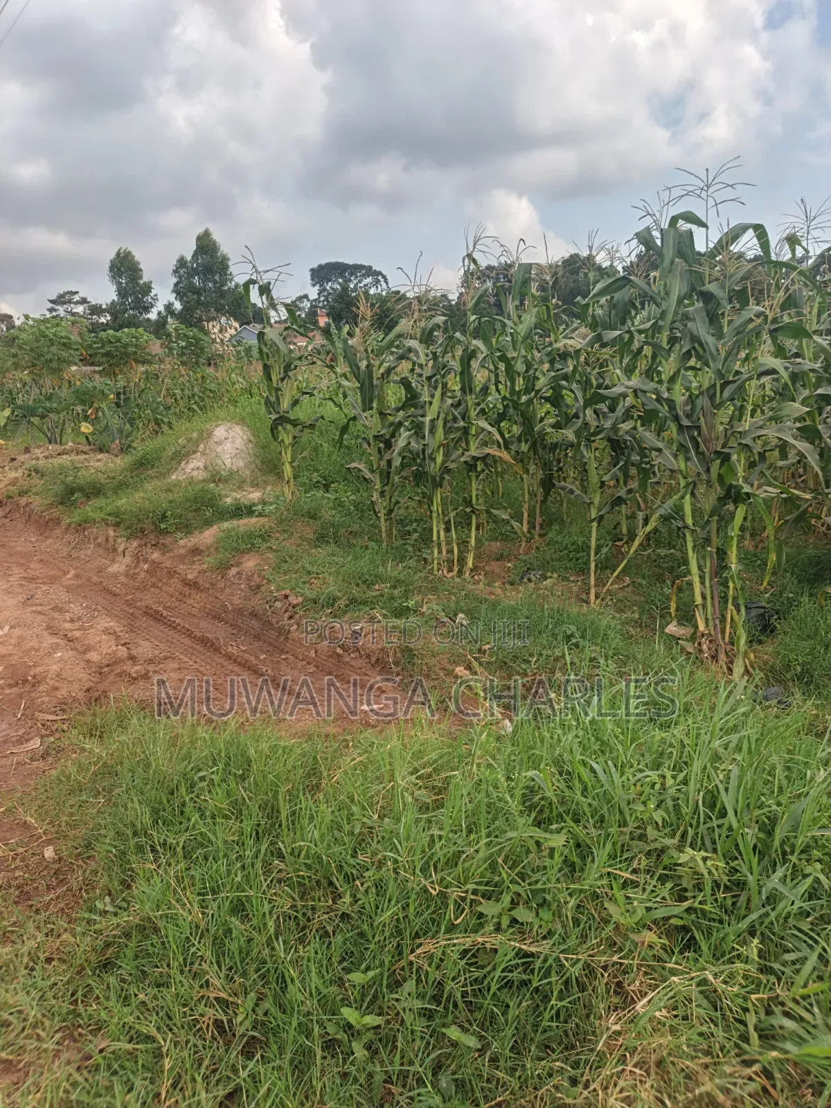 2acres of Land on Sale Komamboga Gayaza Road in Kawempe