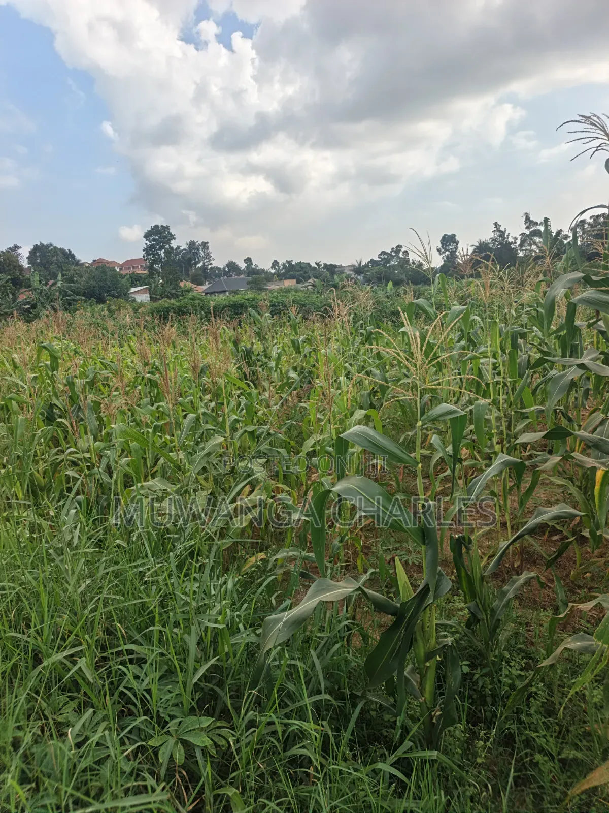 2acres of Land on Sale Komamboga Gayaza Road in Kawempe