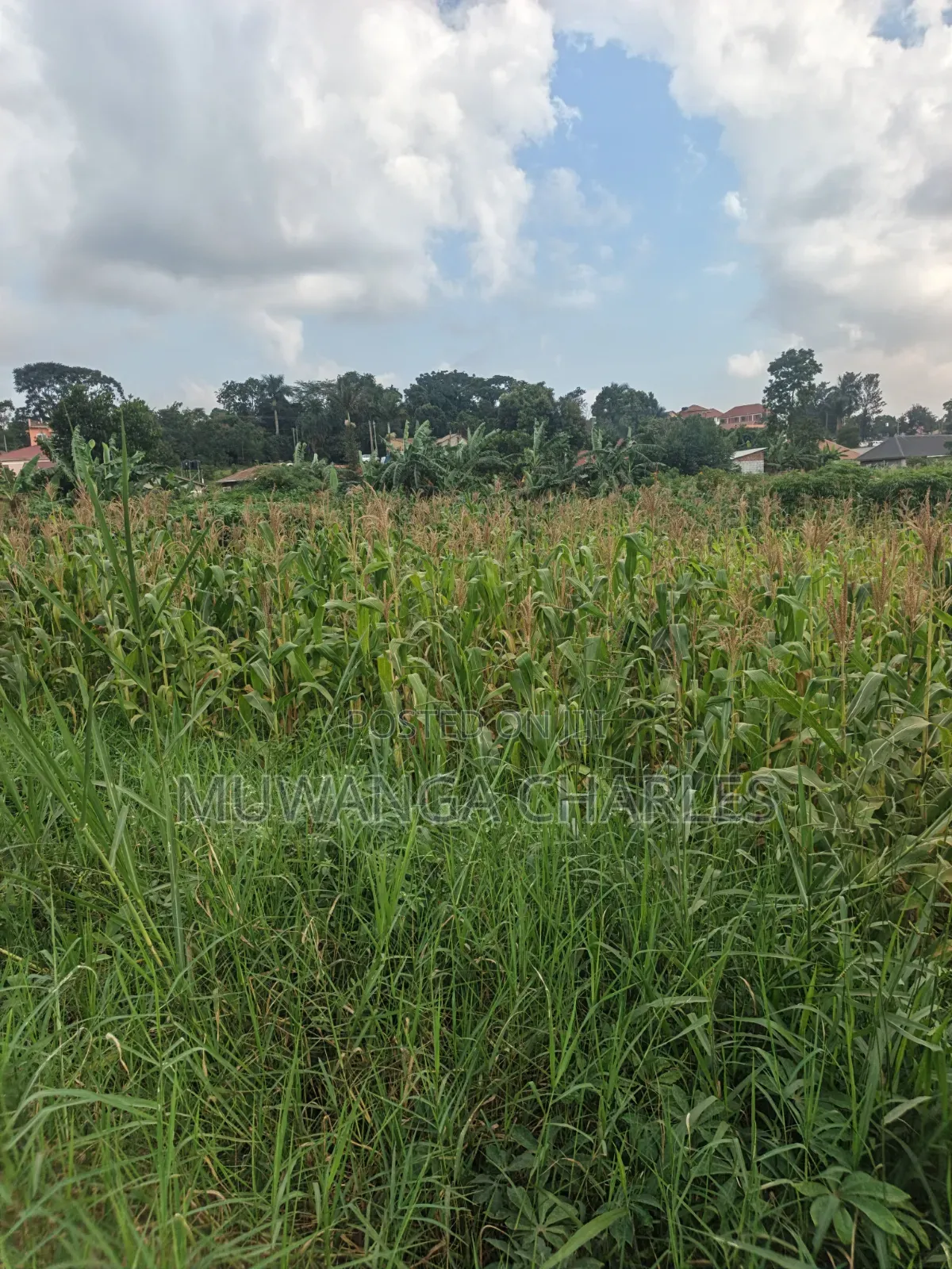 2acres of Land on Sale Komamboga Gayaza Road in Kawempe