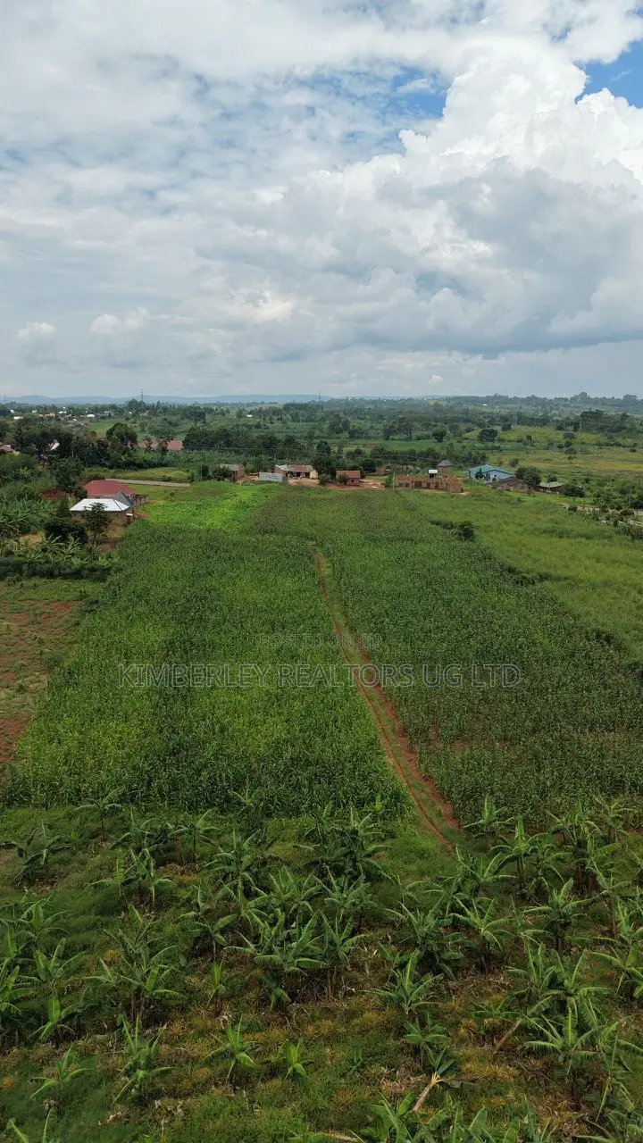 Land for Sale – Nakawuka Jungo in Division A