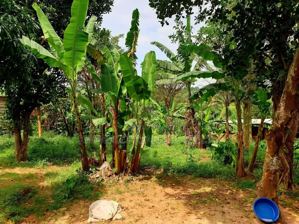 Buwate Plot for Sale in Division A