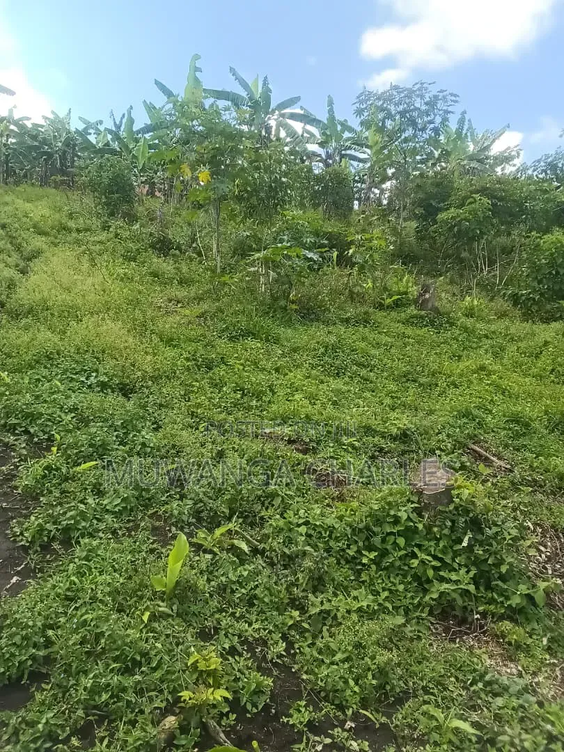 Plot on Sale in Kyanja Kungu in Nakawa