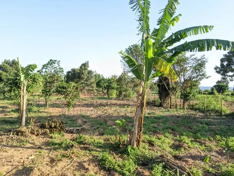 70 Decimals for Sale in Kigungu Entebbe Near Merryland School Titled in Katabi