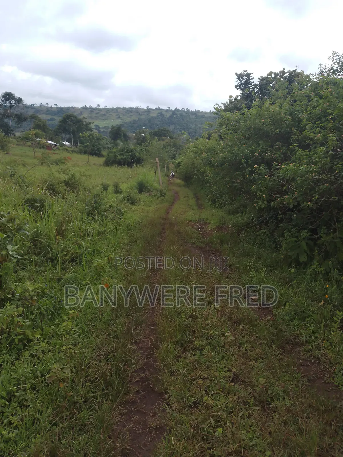 120 Acres Of Farmland In Nakaseke in Nyimbwa