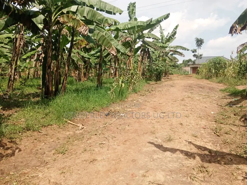Buzibwera Nansaka Farmland in Mbarara