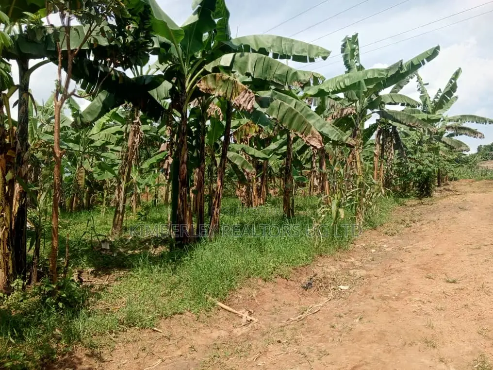 Buzibwera Nansaka Farmland in Mbarara