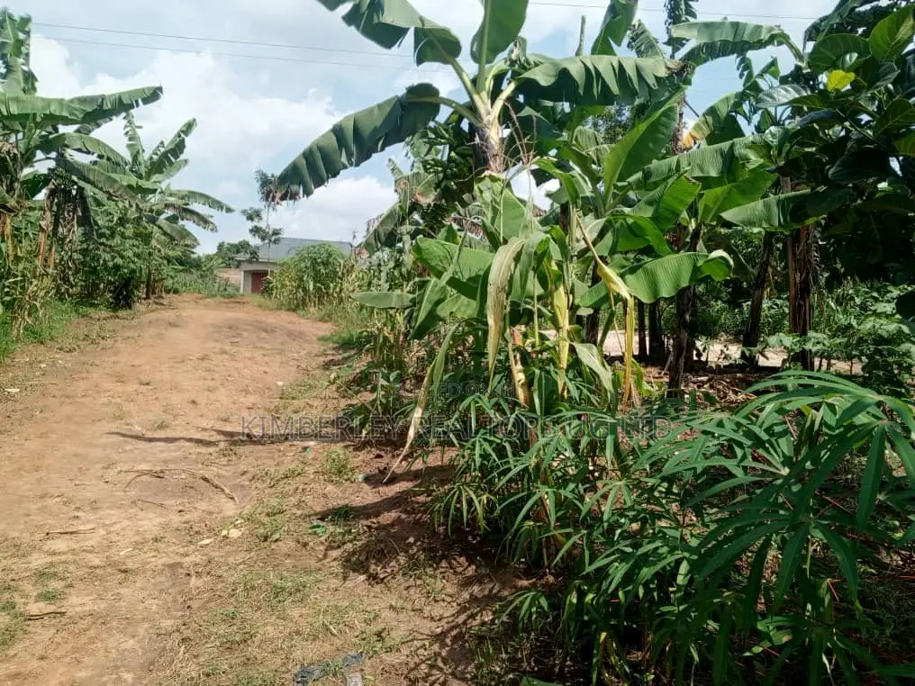 Buzibwera Nansaka Farmland in Mbarara