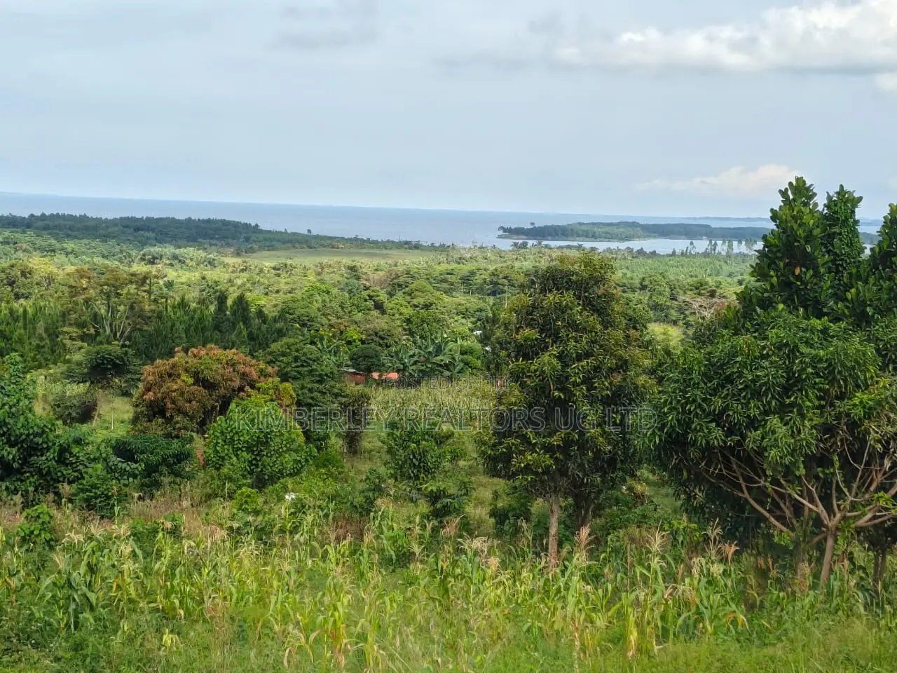 Quick Sale – Lake View Land in Mukono TC