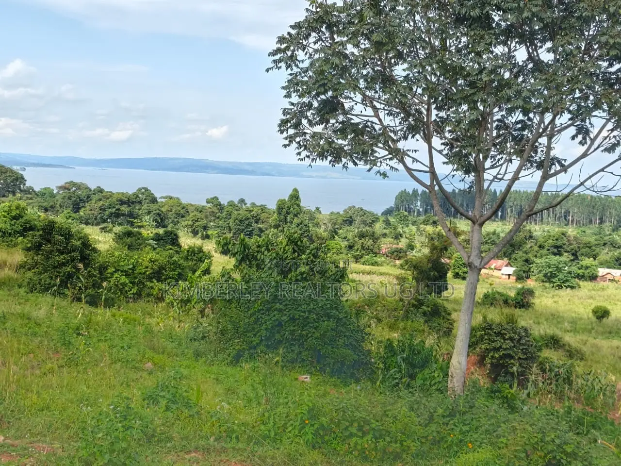 Quick Sale – Lake View Land in Mukono TC