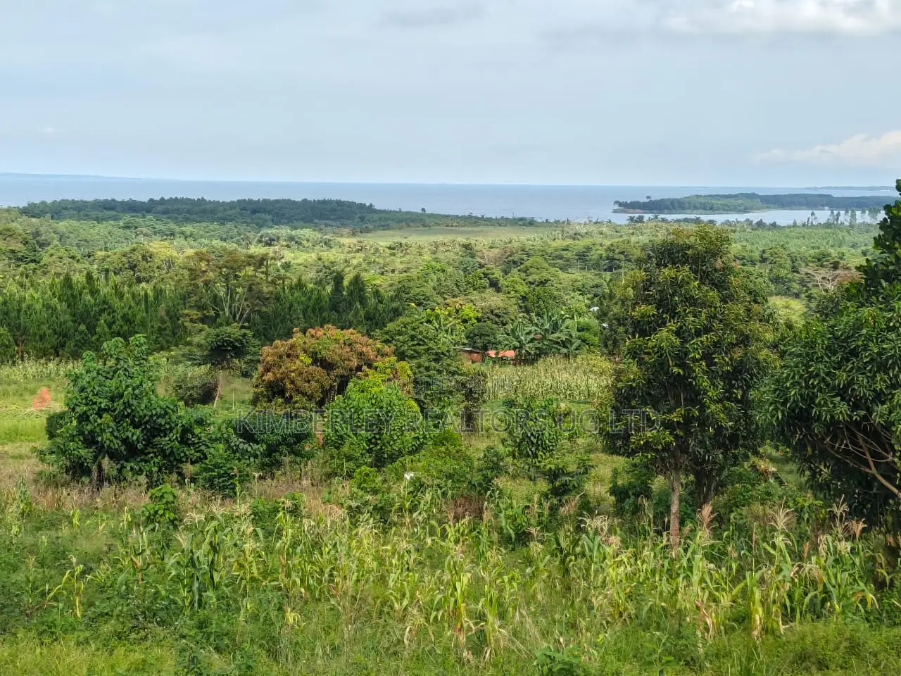 Plot for Sale – Kisubi (Entebbe Road) in Division A