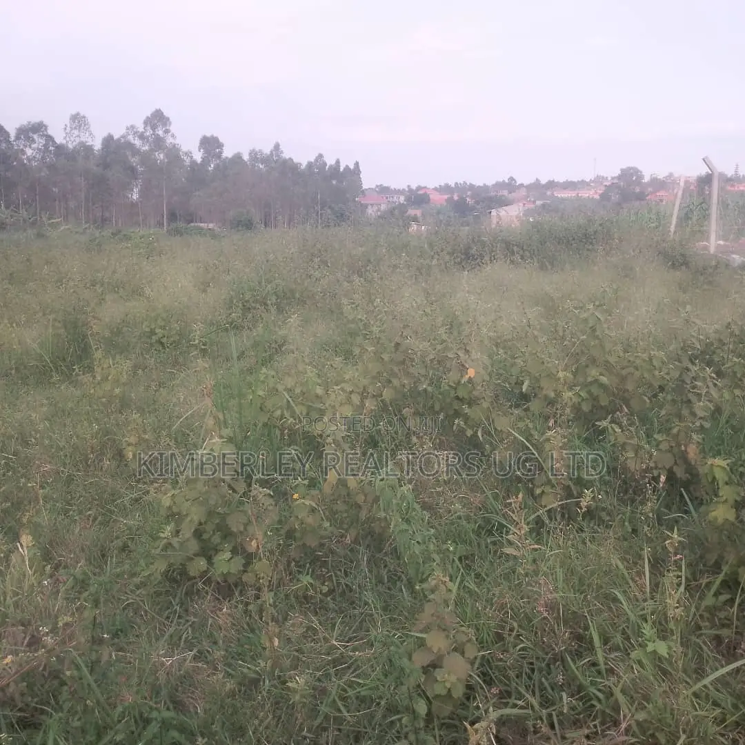 Quick Sale – 2 Plots for Sale in Division A