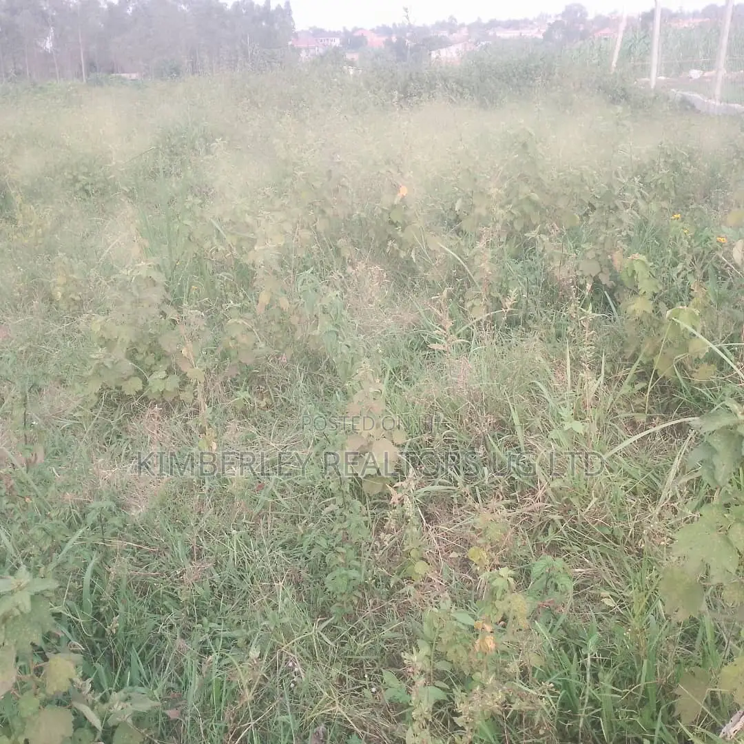 Quick Sale – 2 Plots for Sale in Division A