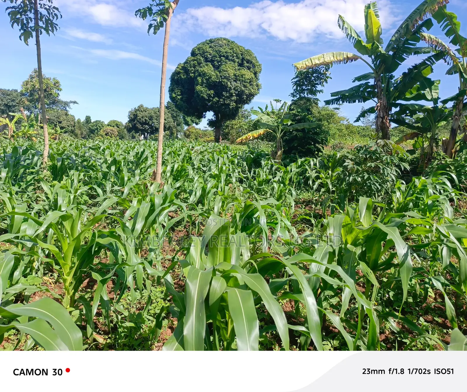 Land for Sale – Rukaaya in Division A