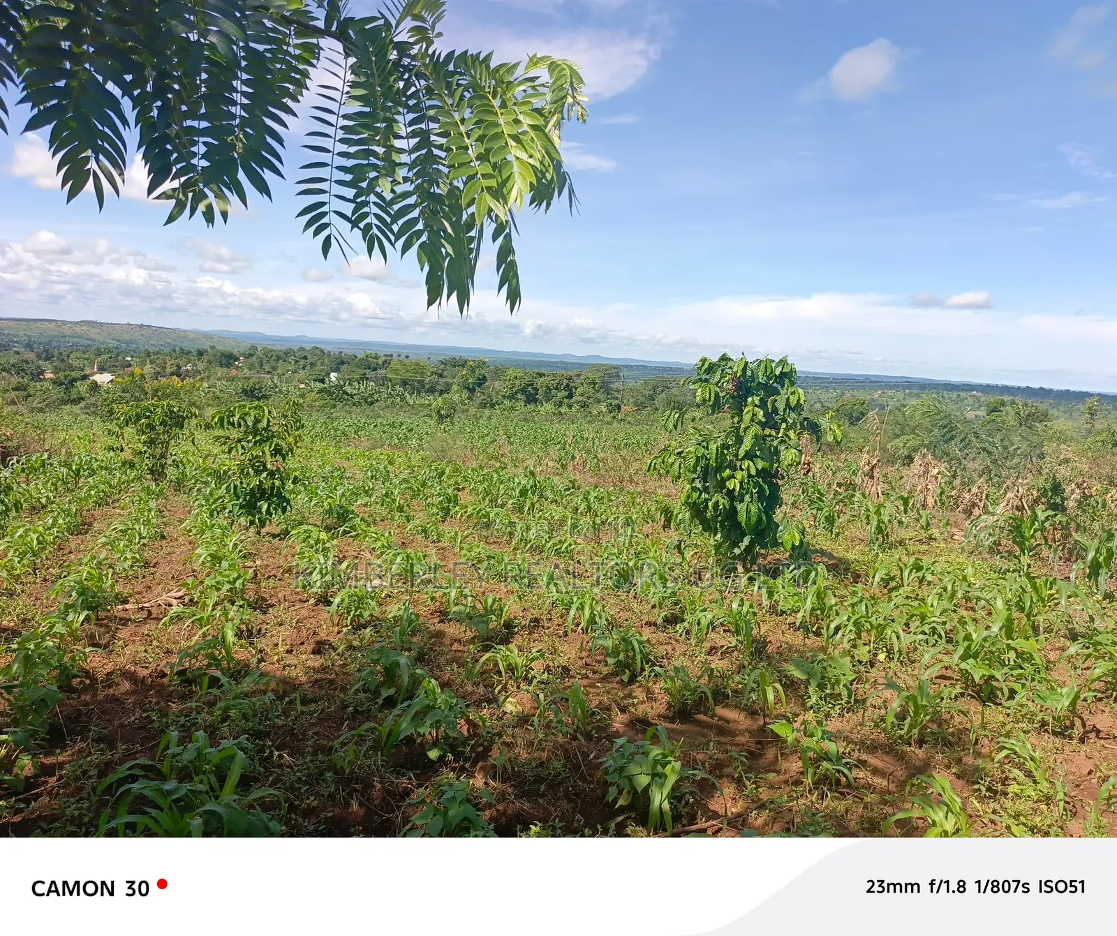 Land for Sale – Rukaaya in Division A