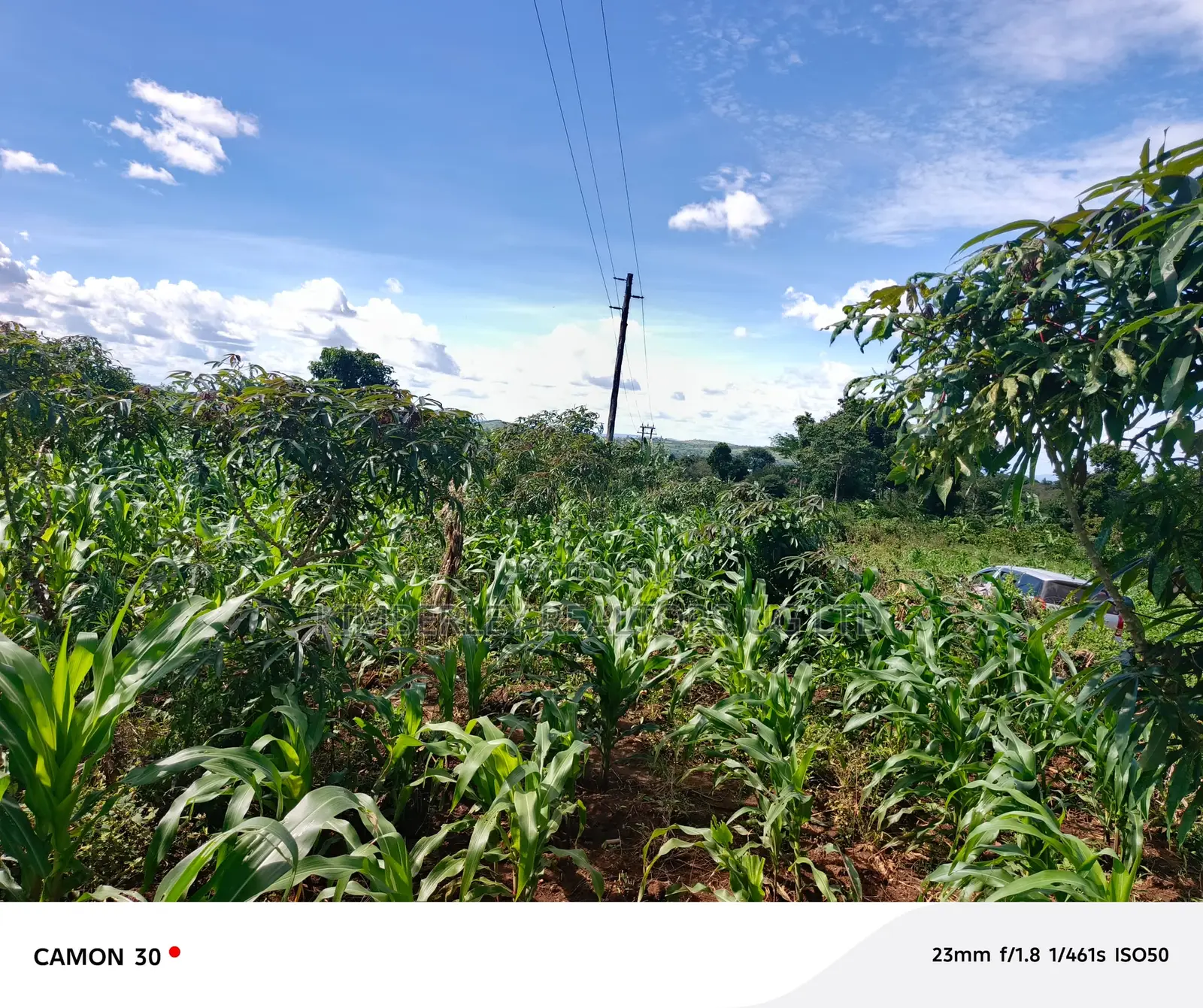 Busika Kalagala Town Council Plots for Sale in Division A