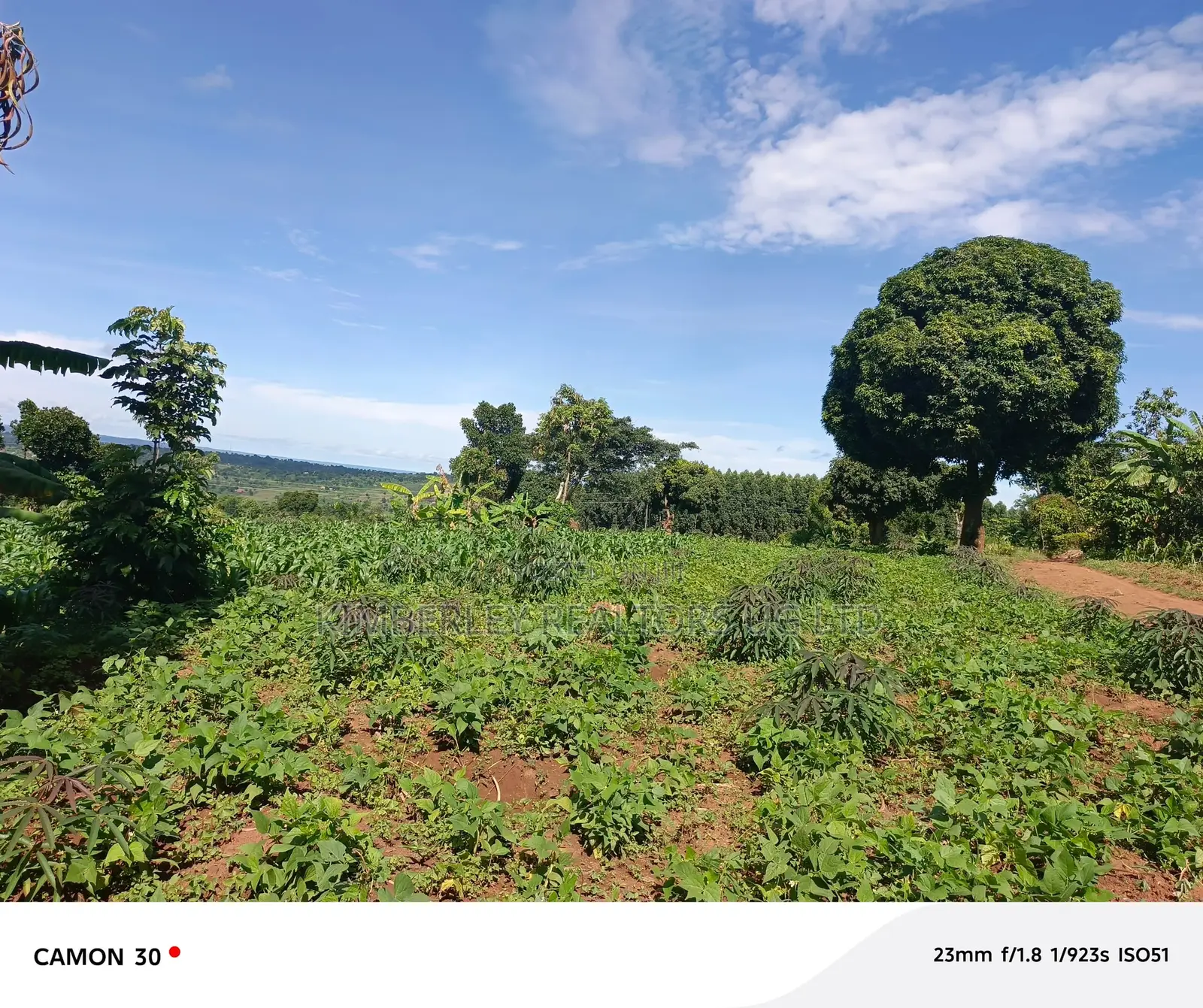 Busika Kalagala Town Council Plots for Sale in Division A