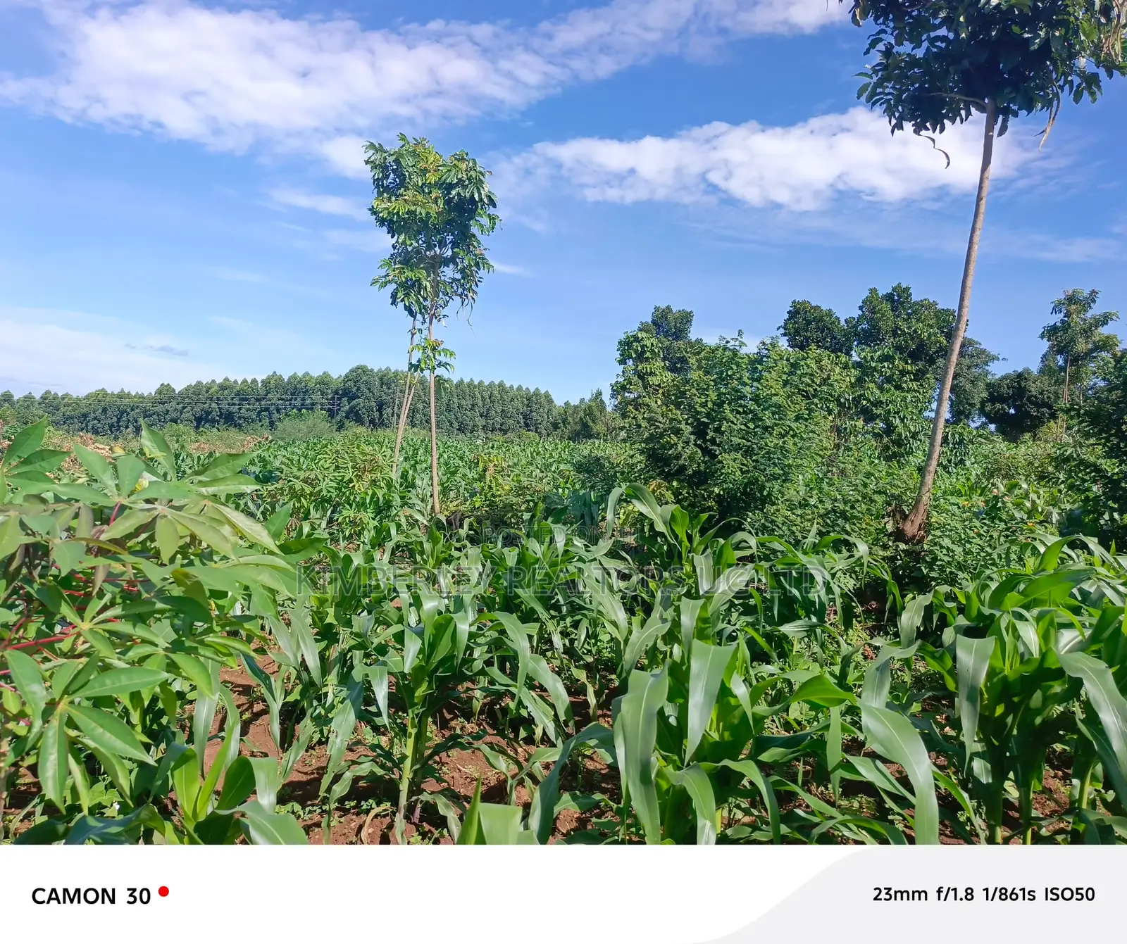 Bugema Hostel Estate View Plots for Sale in Division A