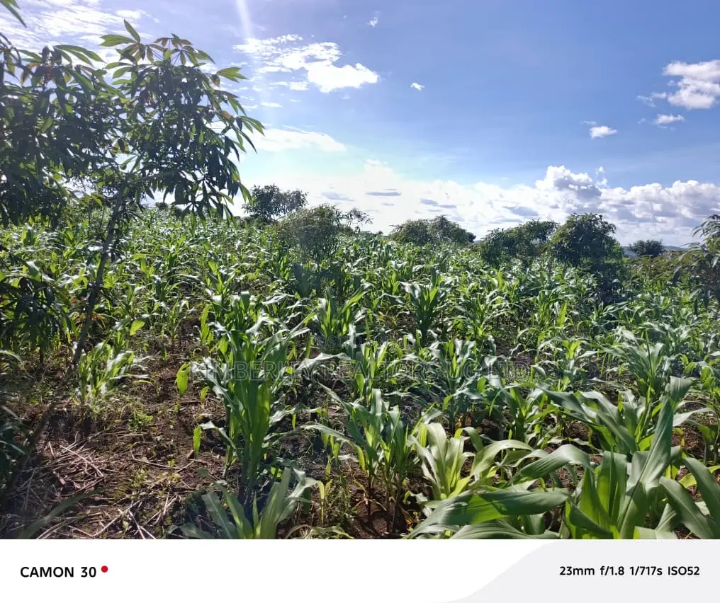 Bujjuko Bulamu Town Estate Prime Residential Plots At 25m in Mpigi / Mpigi
