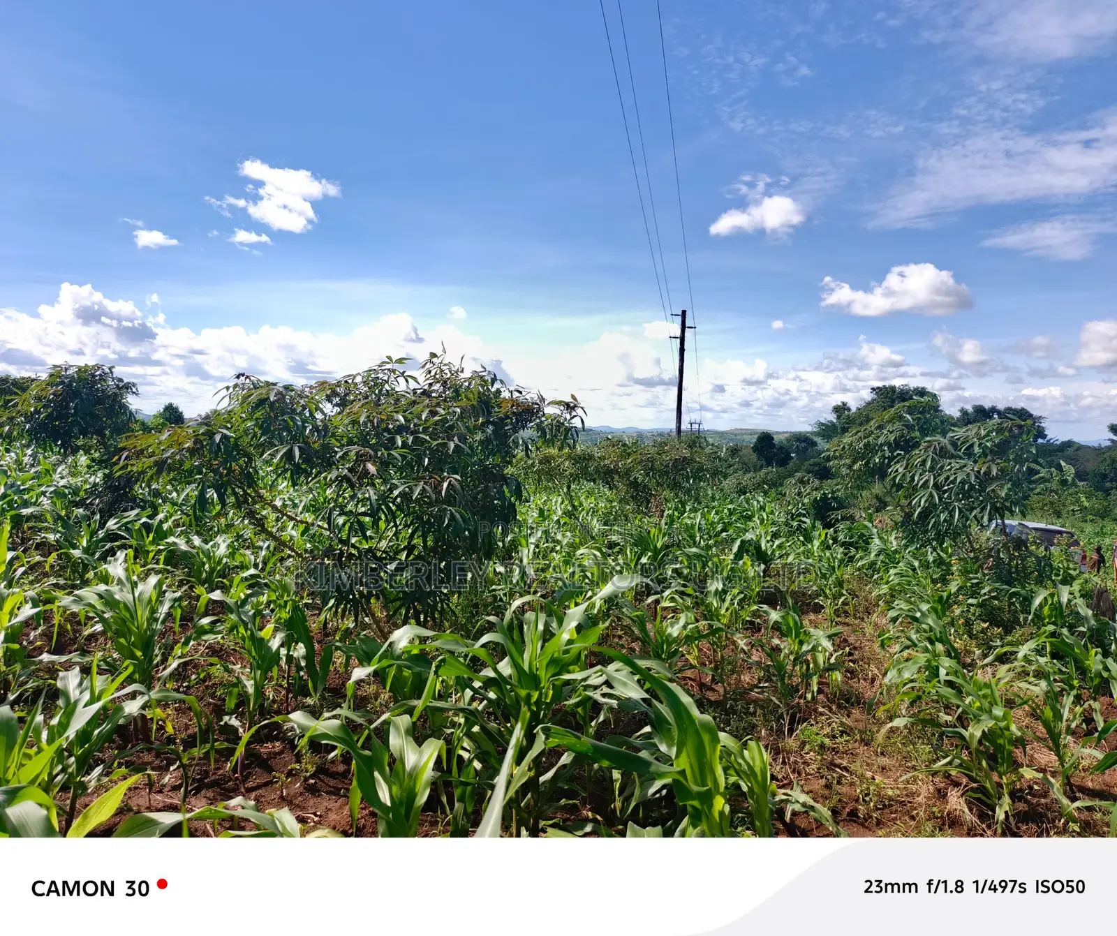 Bujjuko Bulamu Town Estate Prime Residential Plots At 25m in Mpigi / Mpigi