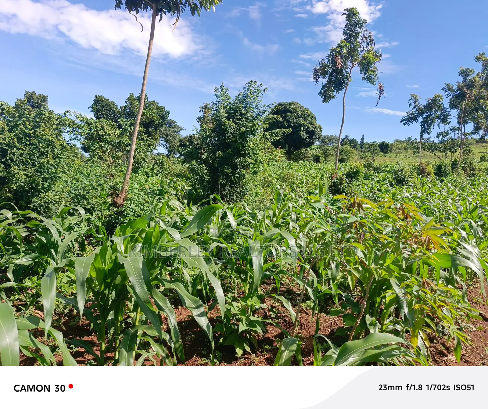 Bujjuko Bulamu Town Estate Prime Residential Plots At 25m in Mpigi / Mpigi