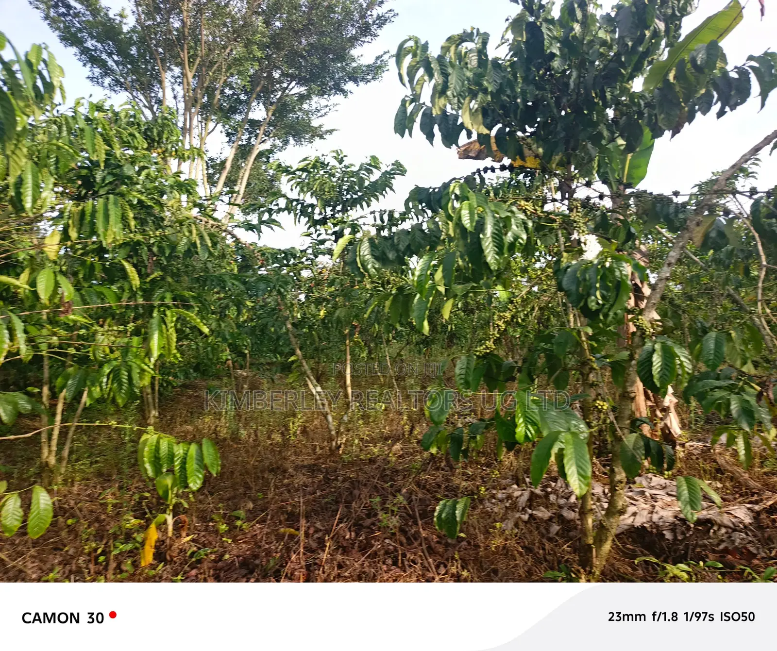Plot for Sale – Nabinene, Kyotera in Division A