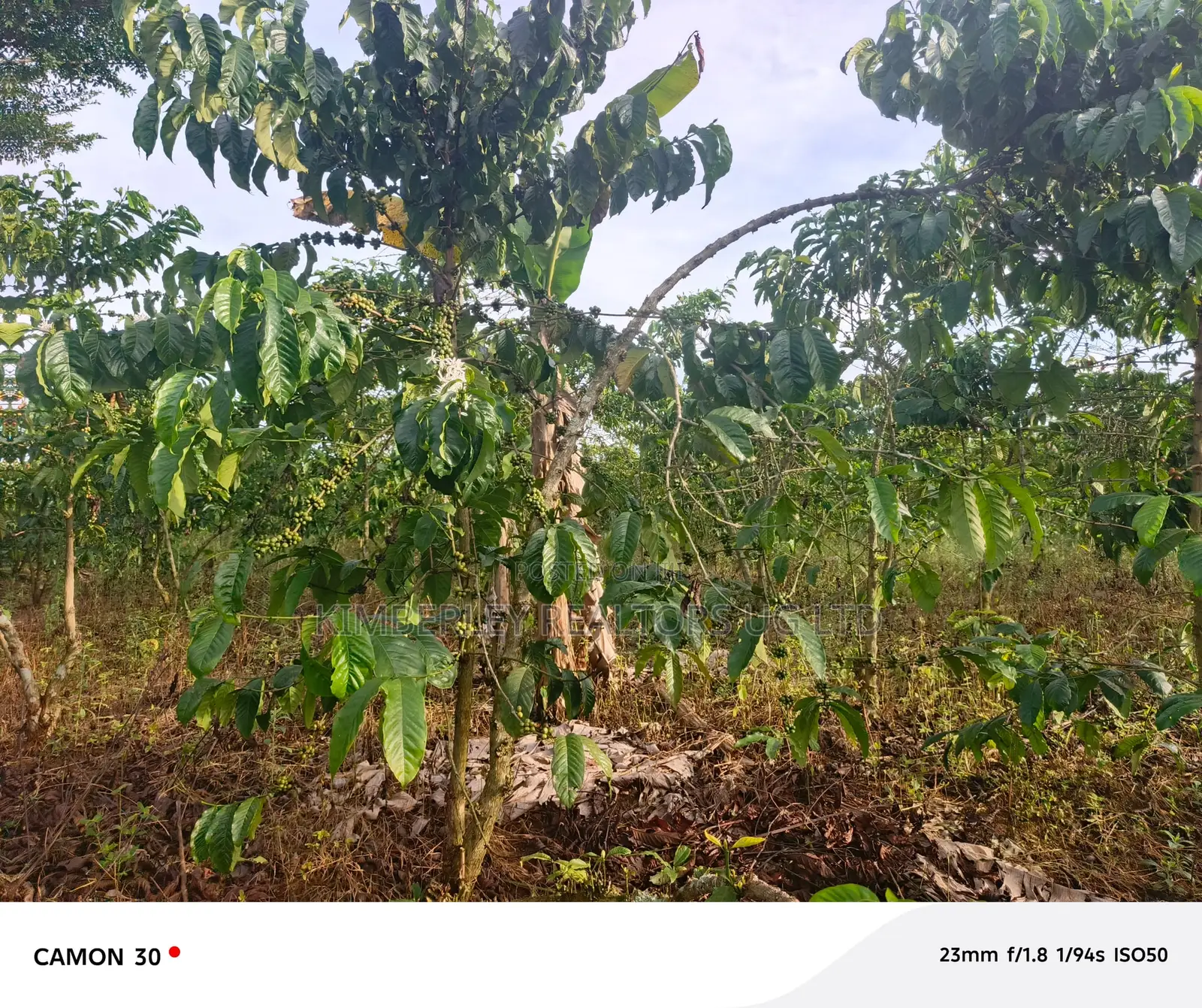 Plot for Sale – Nabinene, Kyotera in Division A