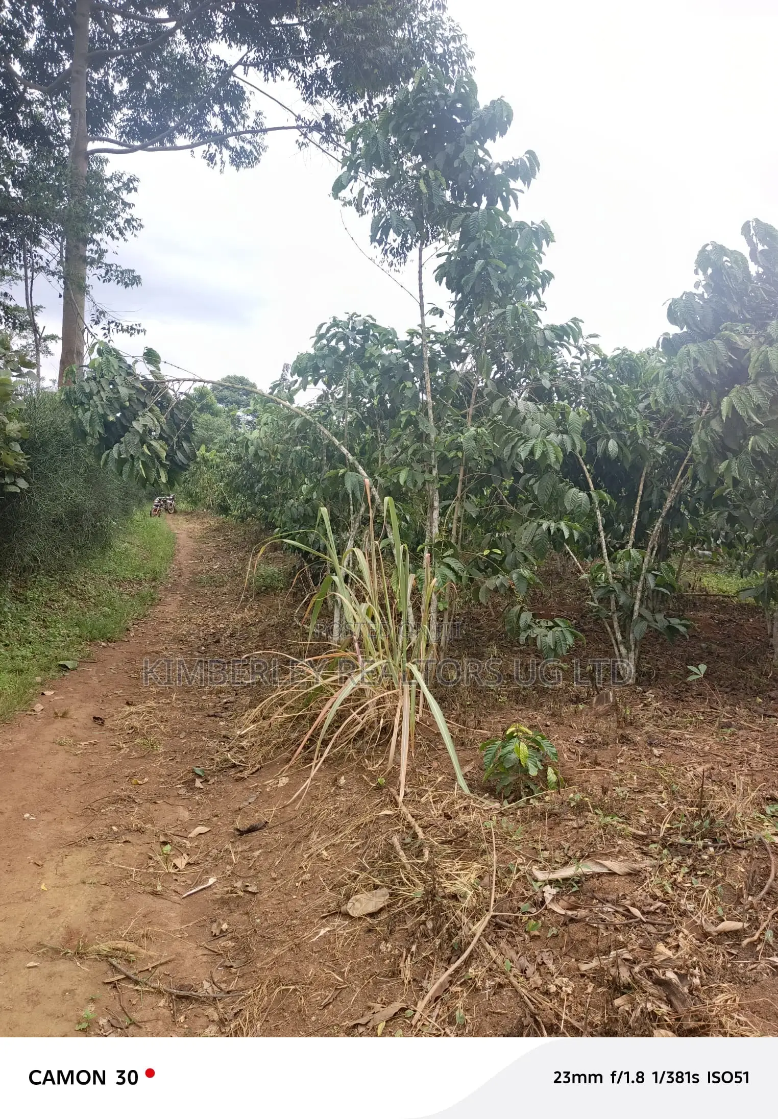  Farmland for Sale – Masaka in Nyendo
