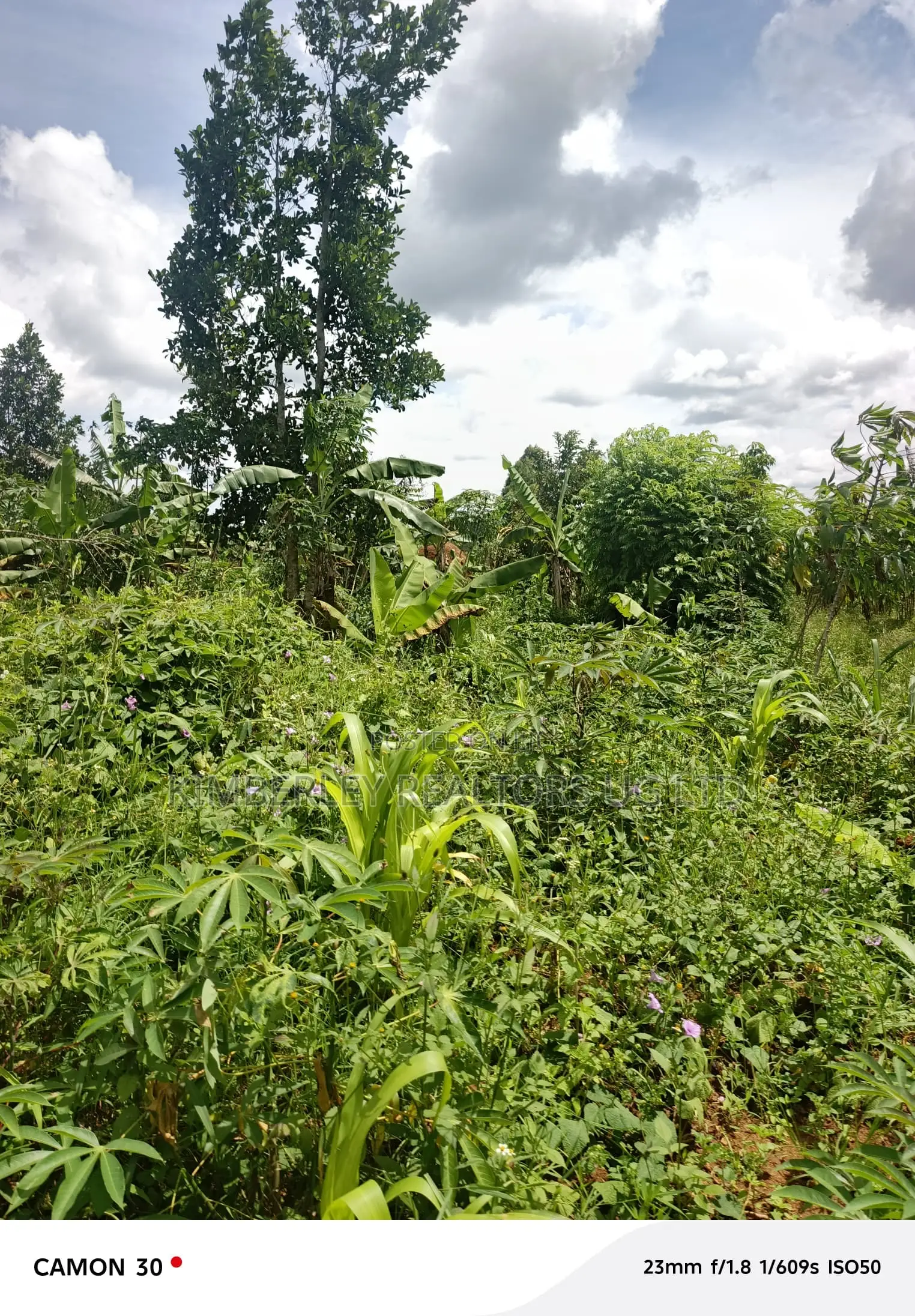 Land for Sale – Kasaka in Nyendo