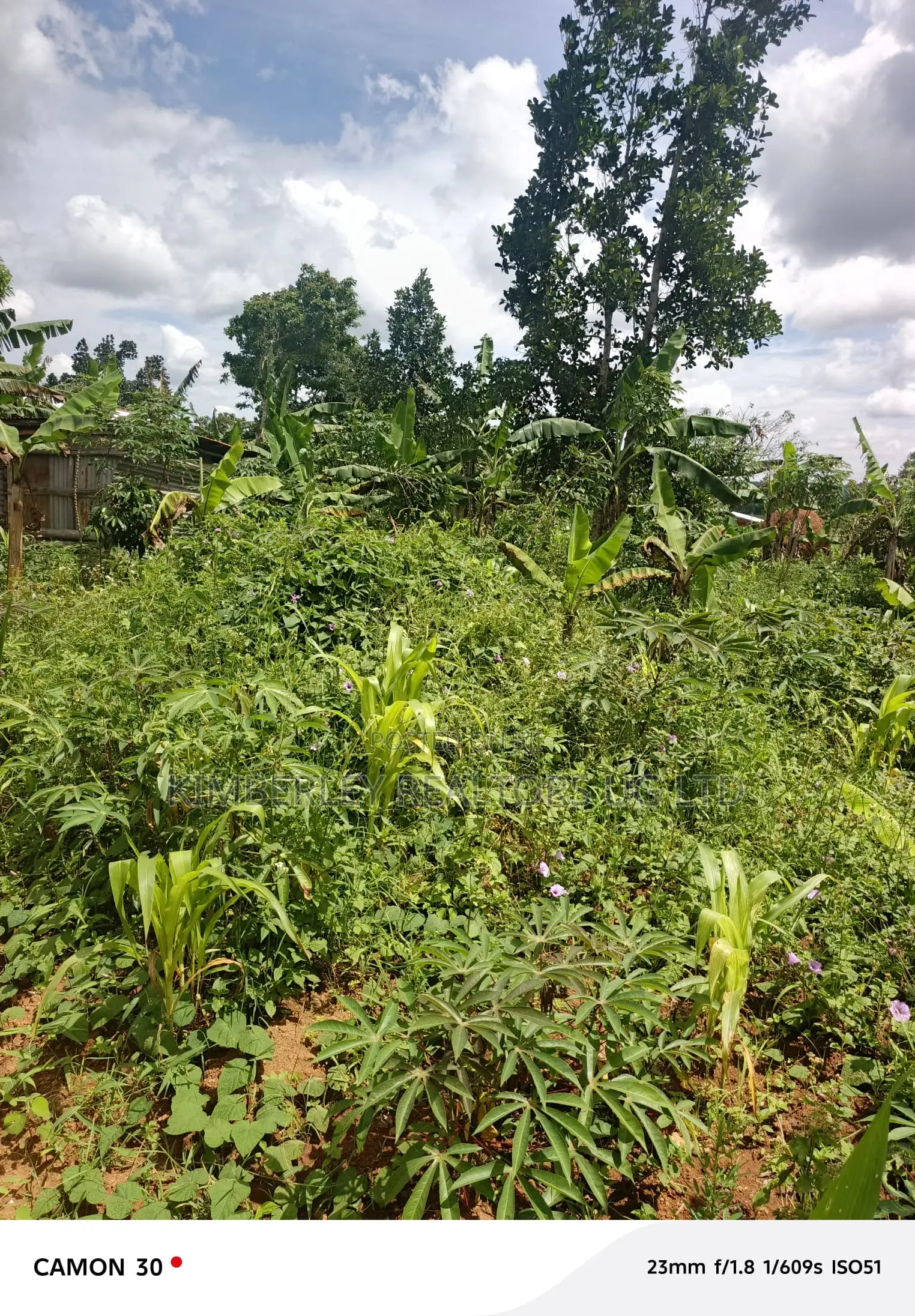 Land for Sale – Kasaka in Nyendo