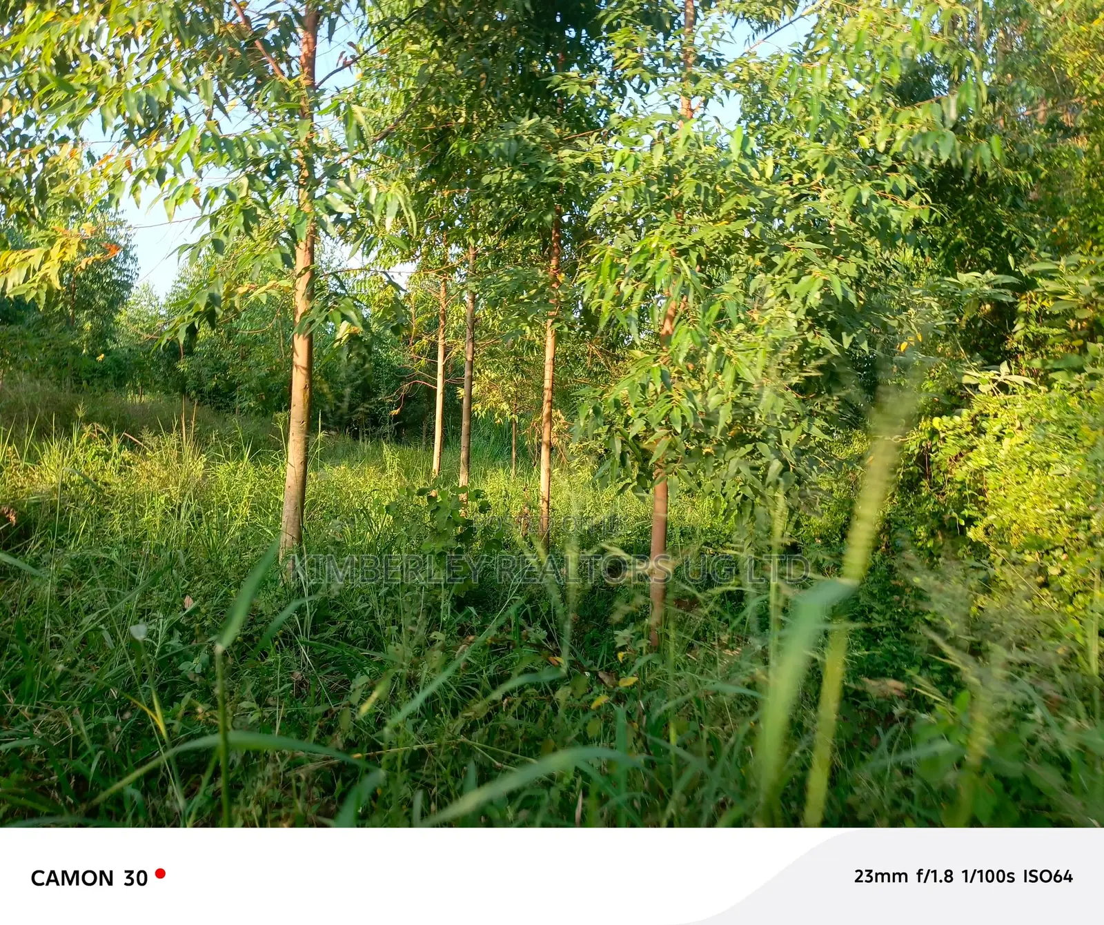 1 Commercial Acre – Naguru in Nakawa