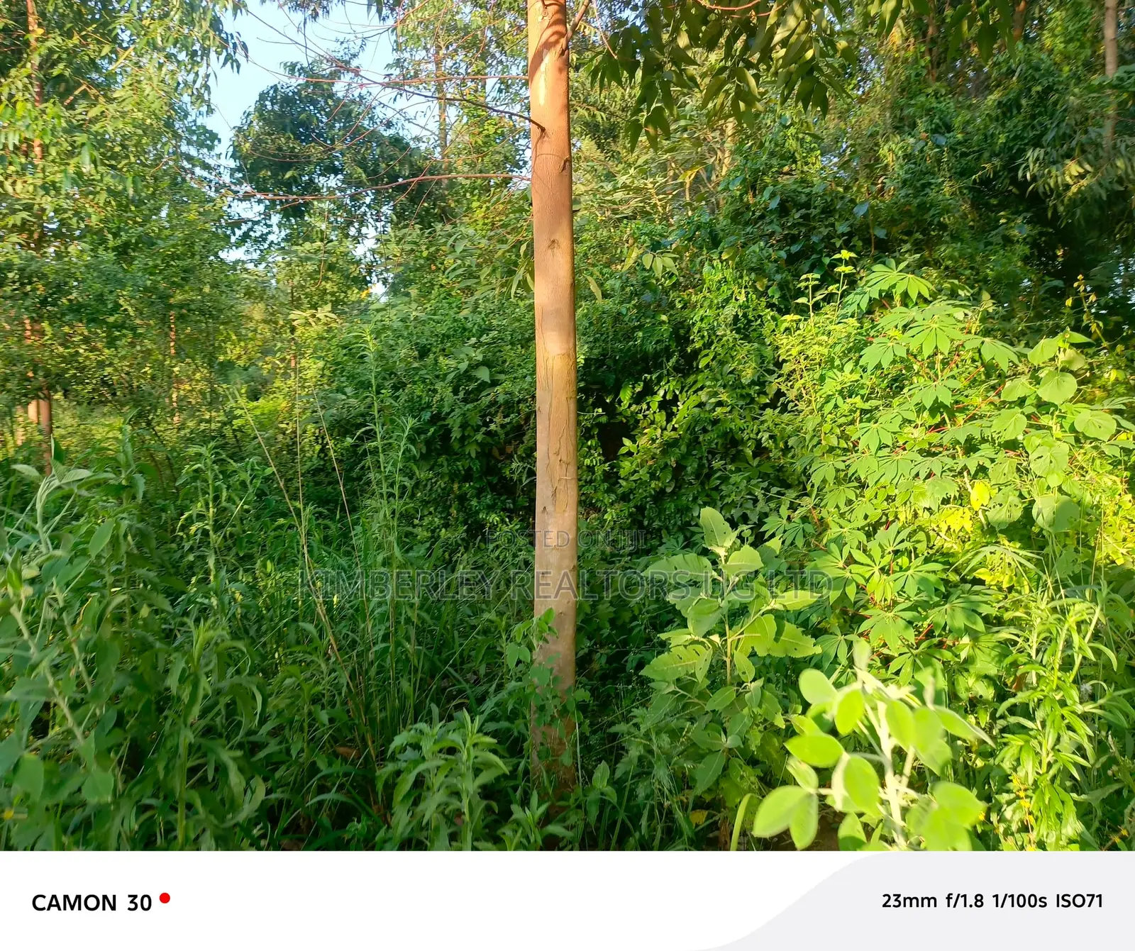 3 Plots For Sale – Matugga Sanga At 24m/Plot in Gombe