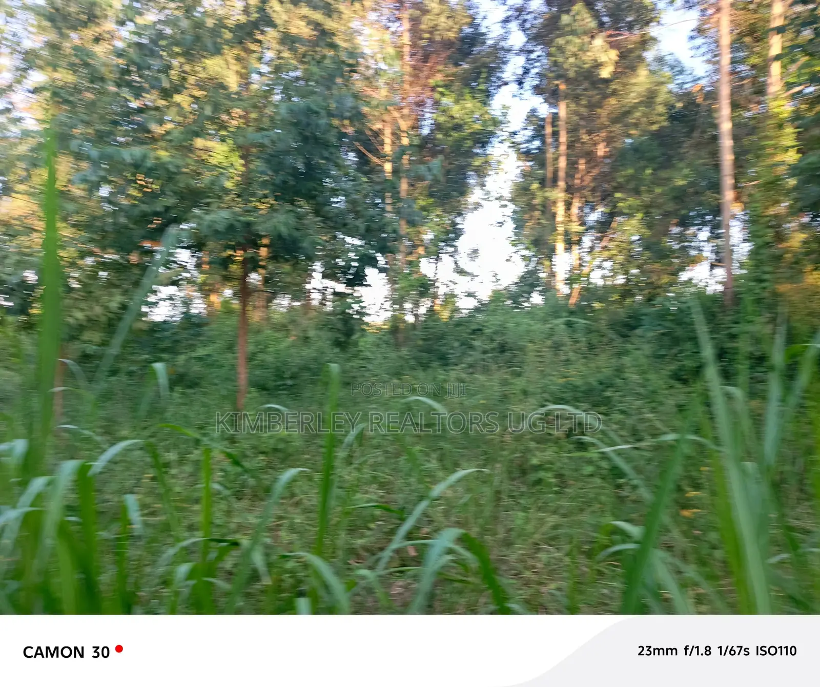 3 Plots For Sale – Matugga Sanga At 24m/Plot in Gombe