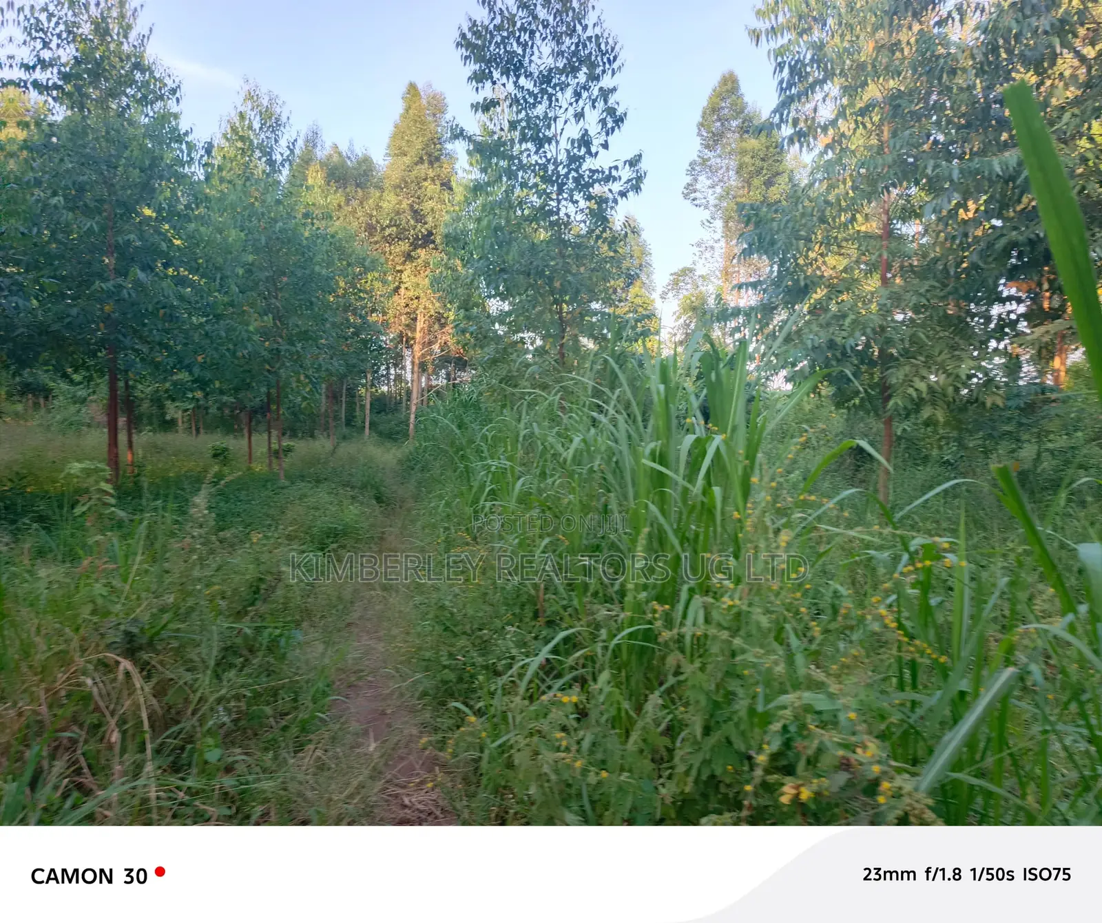 Buzibwera Tokekulu Estate : Prime Agricultural Land At 13m Per Acre in Kikyusa