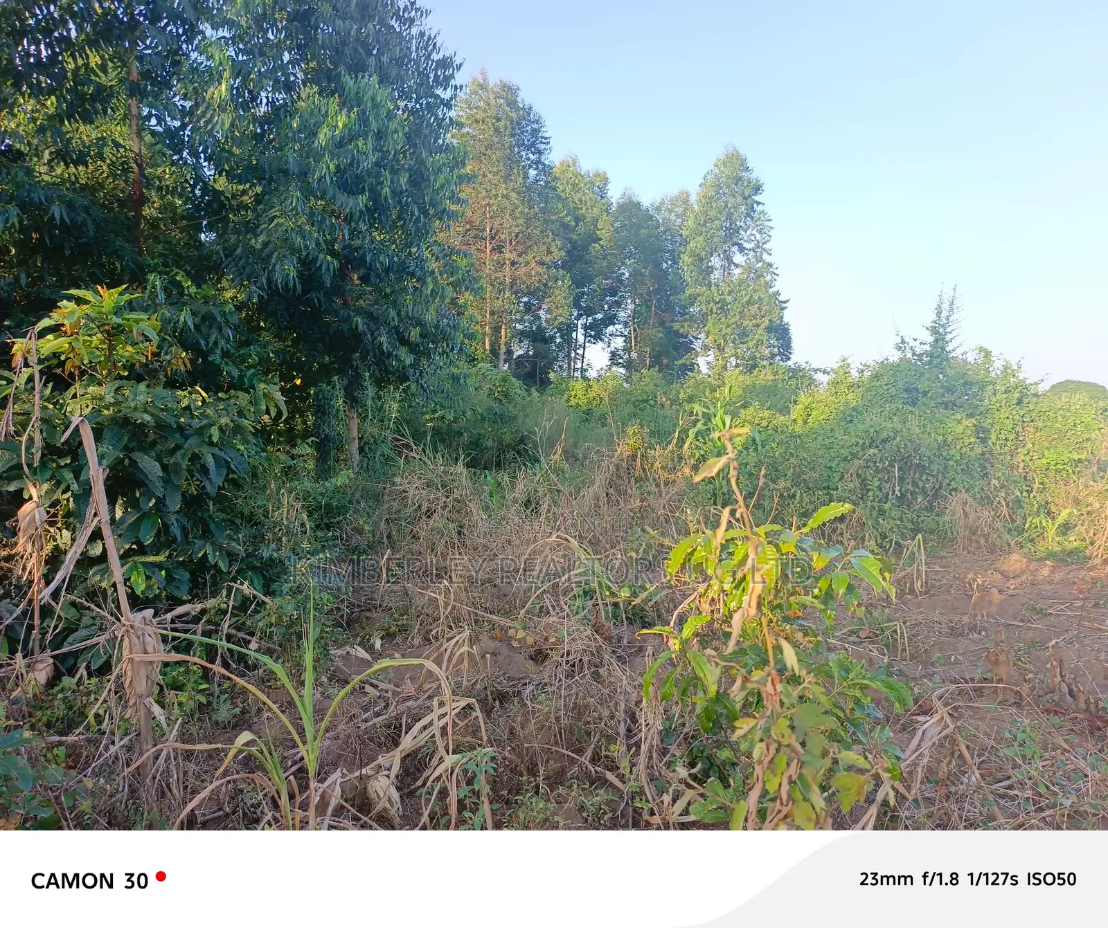 Buzibwera Tokekulu Estate : Prime Agricultural Land At 13m Per Acre in Kikyusa