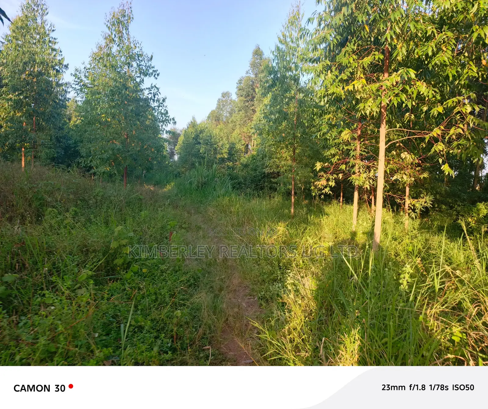 Busika – Plot Deal in Division A