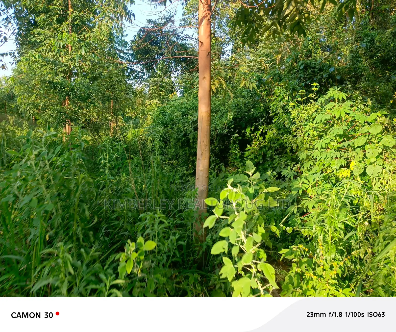 Busika – Plot Deal in Division A