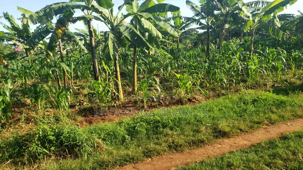 Plots on Sale in Kiwebwa in Gombe