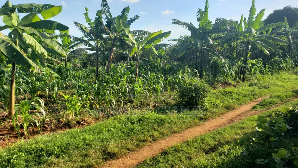 Plots on Sale in Kiwebwa in Gombe