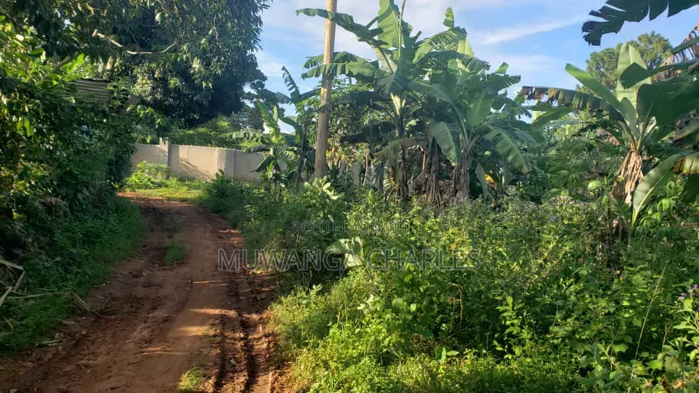 Plots on Sale in Kiwebwa in Gombe