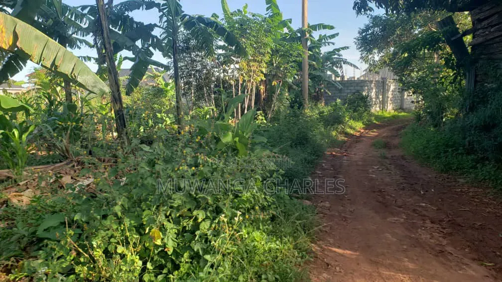 Plots on Sale in Kiwebwa in Gombe