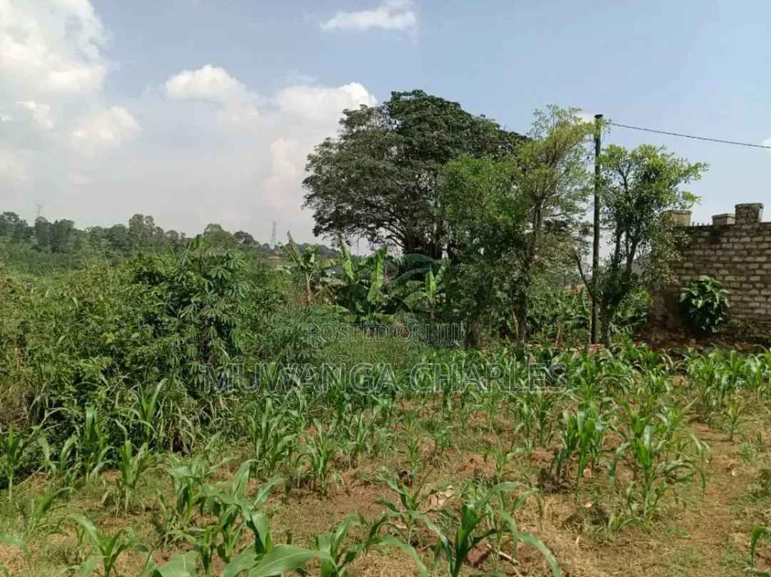 Plots on Sale in Kitukutwe in Wakiso / Wakiso