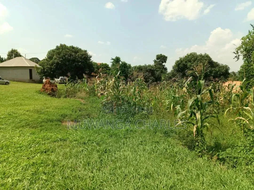 Plots on Sale in Kitukutwe in Wakiso / Wakiso
