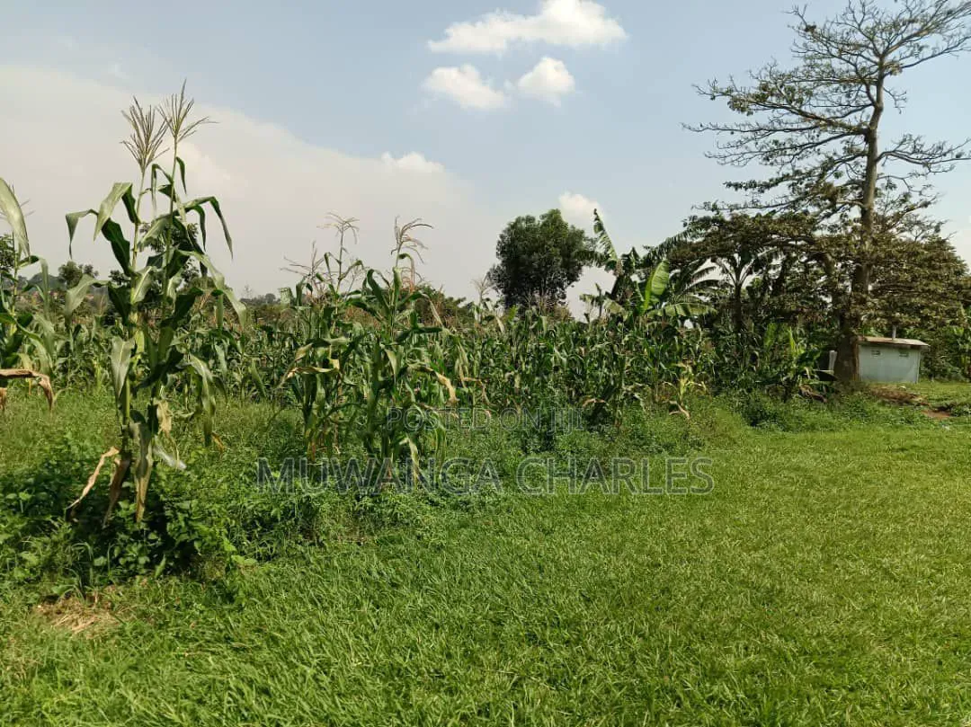 Plots on Sale in Kitukutwe in Wakiso / Wakiso