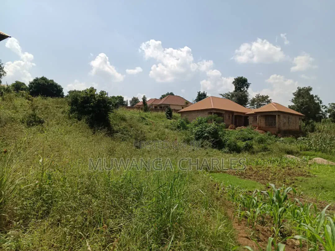 Plots on Sale in Kitukutwe in Wakiso / Wakiso