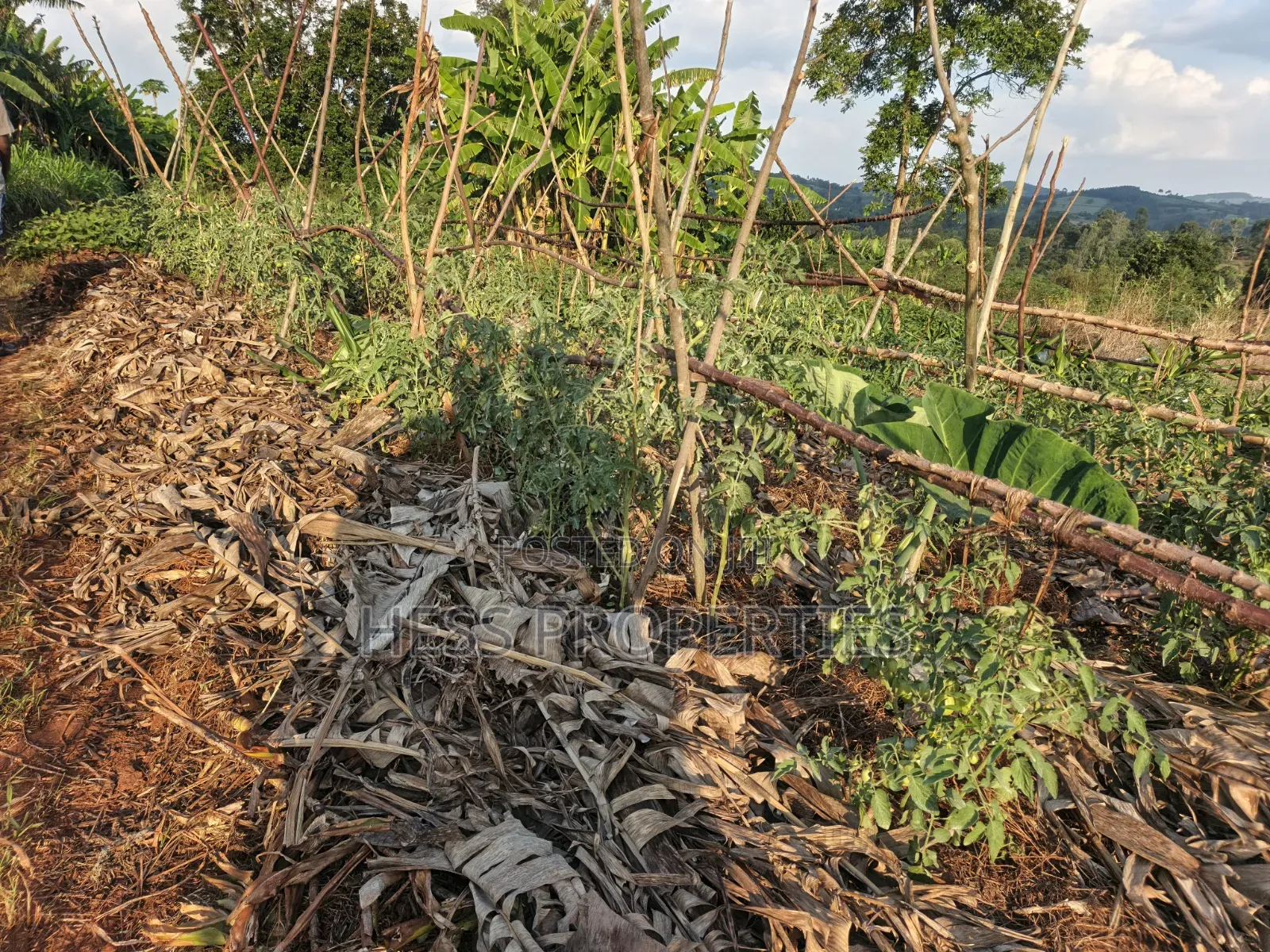 2acres of Land on Sale With a Residential House in Kyenjojo