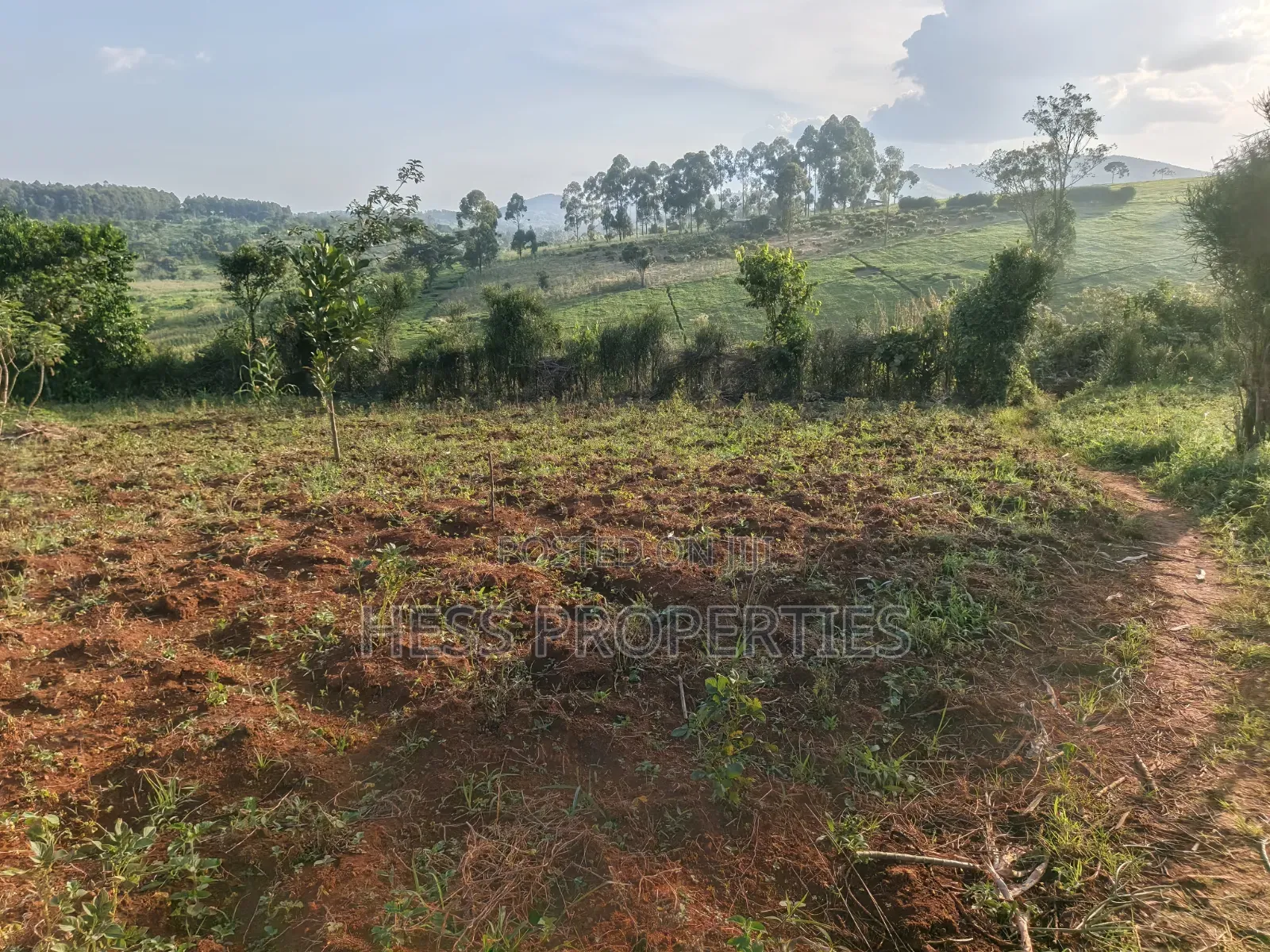 2acres of Land on Sale With a Residential House in Kyenjojo