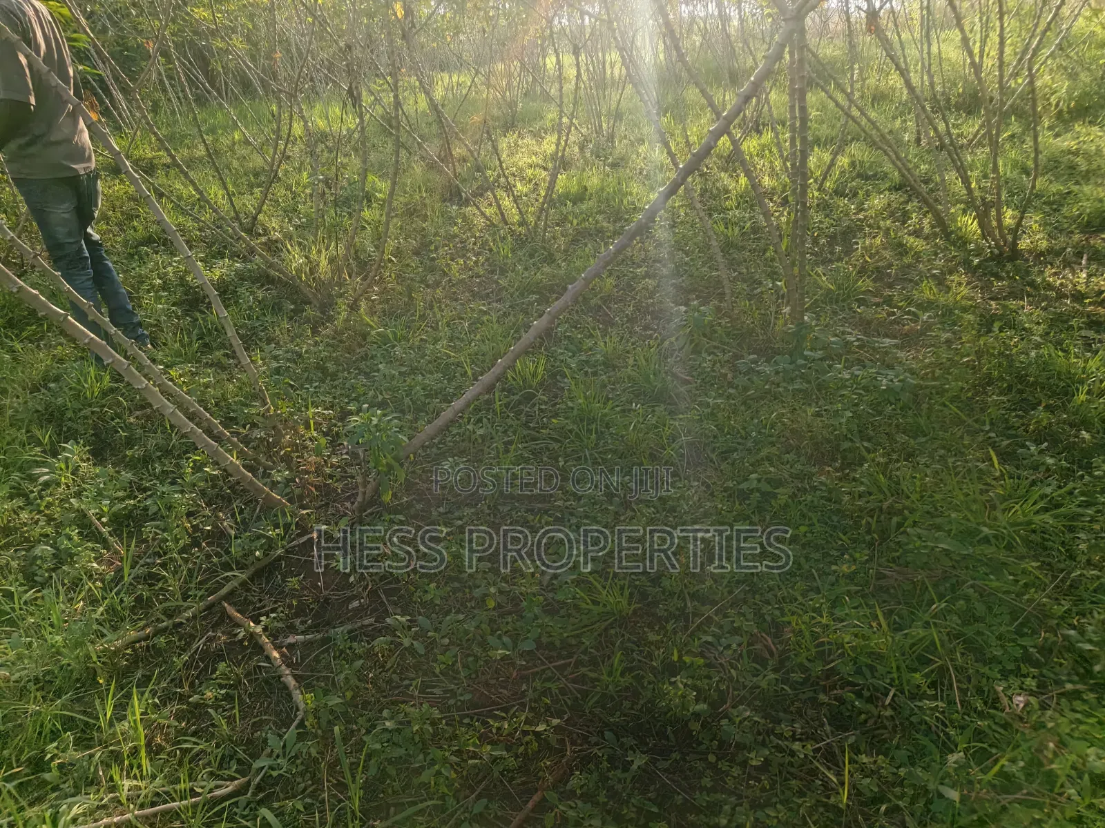 2acres of Land on Sale With a Residential House in Kyenjojo