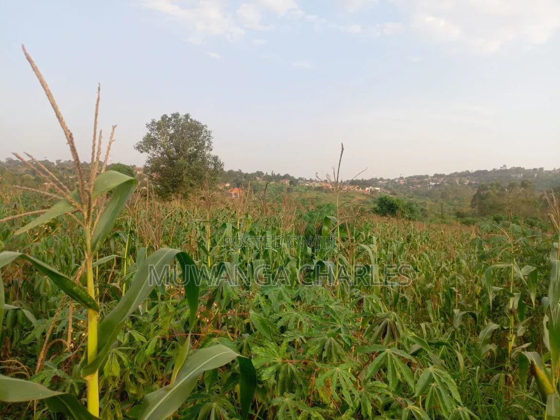 Land on Sale in Kiwebwa Semuto Road in Gombe