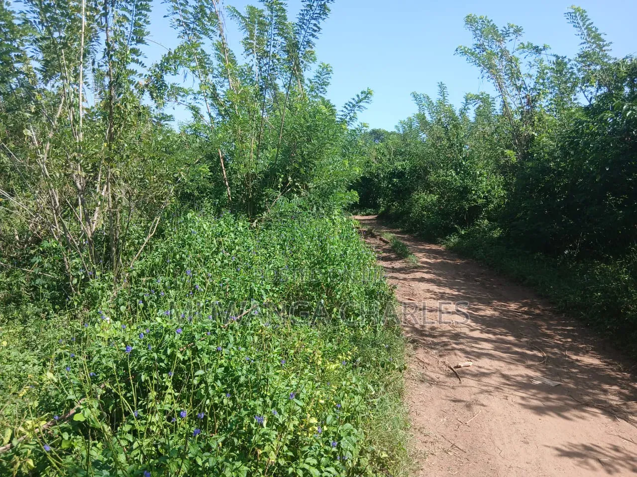 Land on Sale in Zirobwe Kakala in Zirobwe