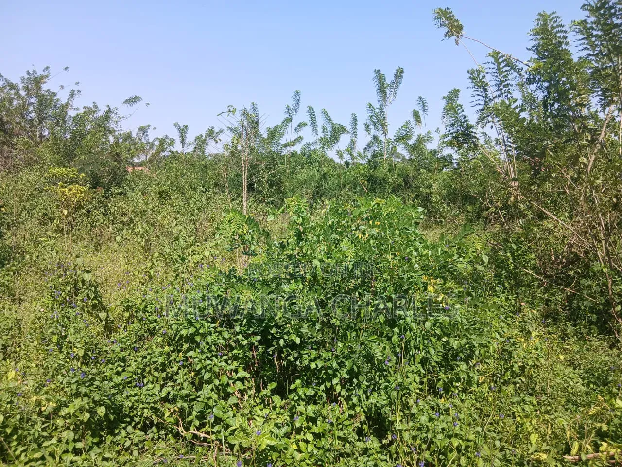 Land on Sale in Zirobwe Kakala in Zirobwe